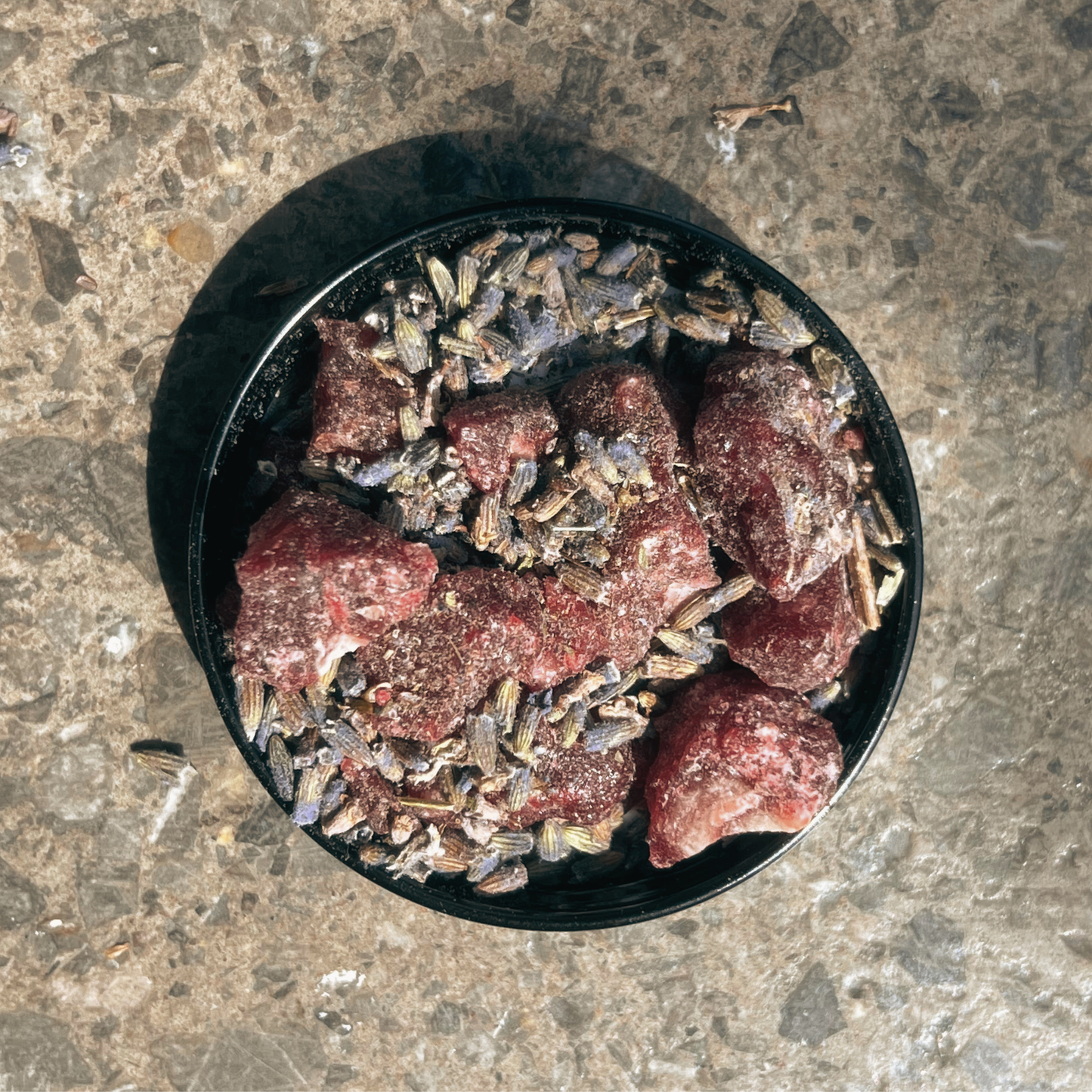 Seekers Kit