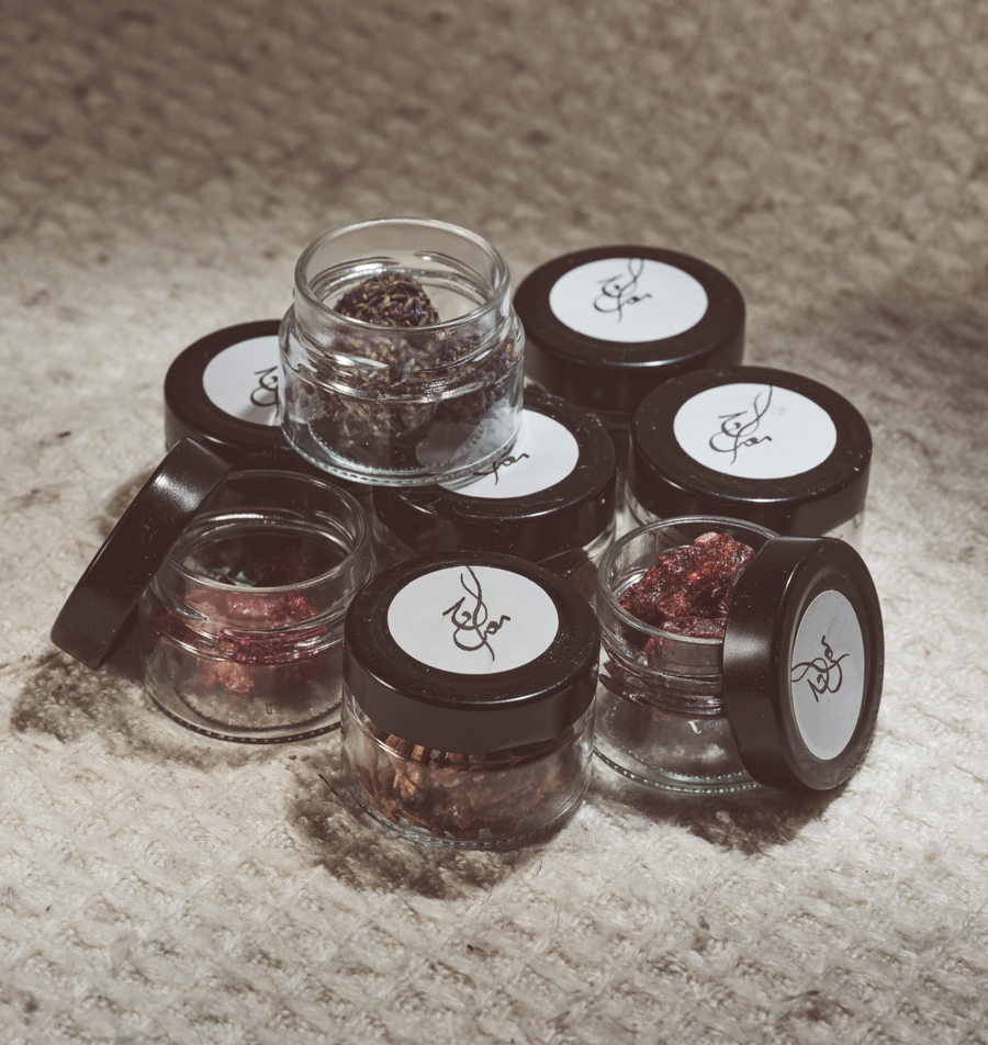 Seekers Kit X20 8G